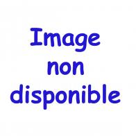 Oeufs musicaux en métal de style Fabergé Oeuf musical de style Fabergé en métal et porcelaine avec cygne tournant - Canon de Johann Pachelbel