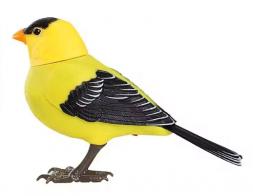 Animaux automates musicaux Oiseau automate chanteur &eacute;lectronique et interactif avec mouvement du bec et de la t&ecirc;te
