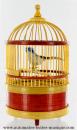 Oiseau chanteur automate : petit oiseau chanteur mécanique